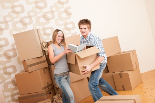 Packed boxes prepared for a smooth removal van move